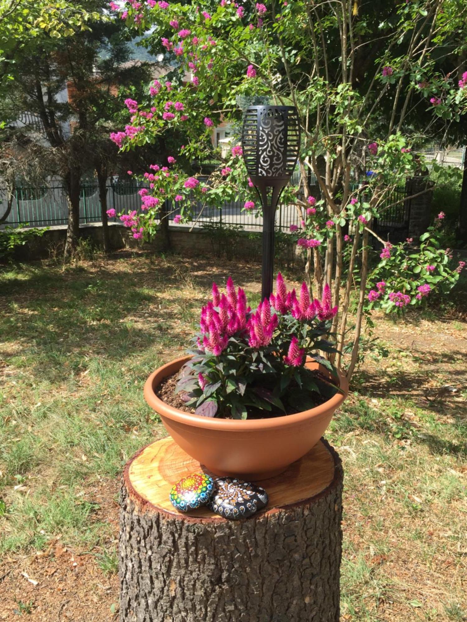 Ilgiardinoincantato Grizzana Bagian luar foto